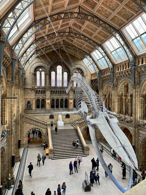 https://kensingtonmanandvan.org.uk/blog/south-kensington-man-and-van-tips-for-moves-near-museums/